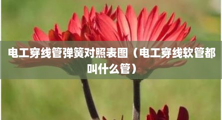电工穿线管弹簧对照表图（电工穿线软管都叫什么管）