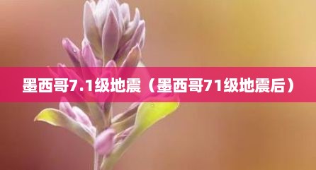 墨西哥7.1级地震（墨西哥71级地震后）