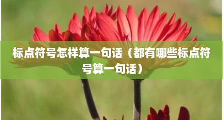 标点符号怎样算一句话（都有哪些标点符号算一句话）