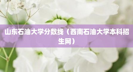 山东石油大学分数线（西南石油大学本科招生网）