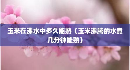 玉米在沸水中多久能熟（玉米沸腾的水煮几分钟能熟）