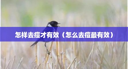 怎样去痘才有效（怎么去痘最有效）