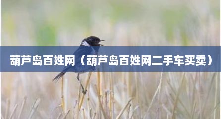 葫芦岛百姓网（葫芦岛百姓网二手车买卖）