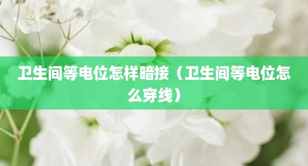 卫生间等电位怎样暗接（卫生间等电位怎么穿线）