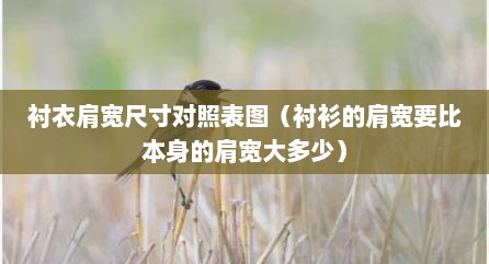 衬衣肩宽尺寸对照表图（衬衫的肩宽要比本身的肩宽大多少）