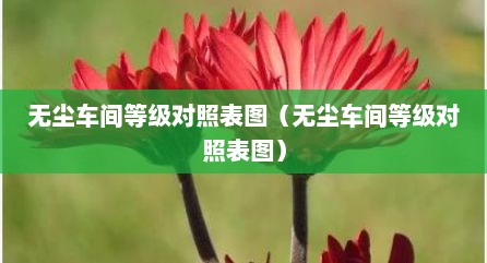 无尘车间等级对照表图（无尘车间等级对照表图）