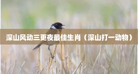 深山风动三更夜最佳生肖（深山打一动物）