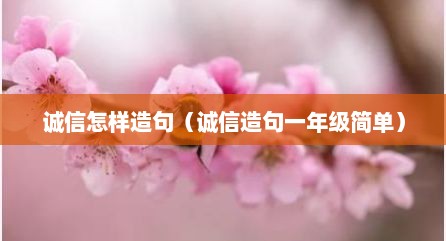 诚信怎样造句（诚信造句一年级简单）