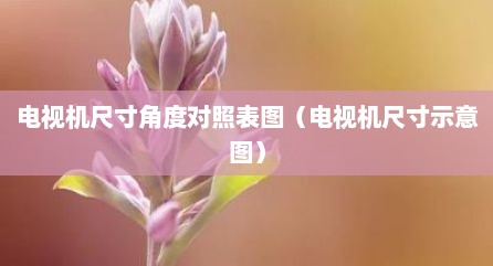 电视机尺寸角度对照表图（电视机尺寸示意图）