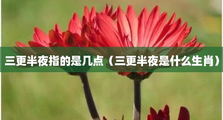 三更半夜指的是几点（三更半夜是什么生肖）