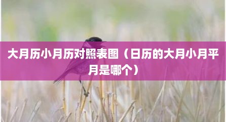 大月历小月历对照表图（日历的大月小月平月是哪个）
