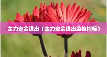 主力资金进出（主力资金进出监控指标）