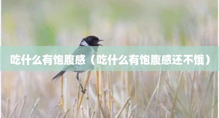 吃什么有饱腹感（吃什么有饱腹感还不饿）