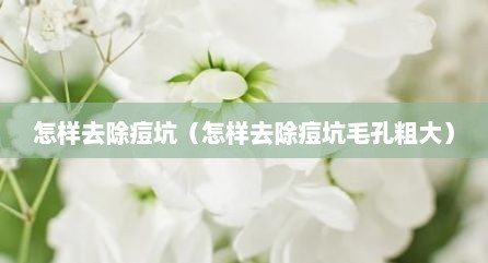 怎样去除痘坑（怎样去除痘坑毛孔粗大）