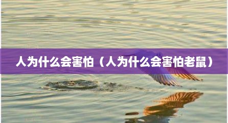 人为什么会害怕（人为什么会害怕老鼠）