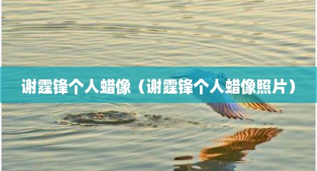 谢霆锋个人蜡像（谢霆锋个人蜡像照片）