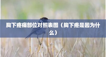 胸下疼痛部位对照表图（胸下疼是因为什么）