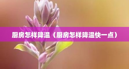 厨房怎样降温（厨房怎样降温快一点）