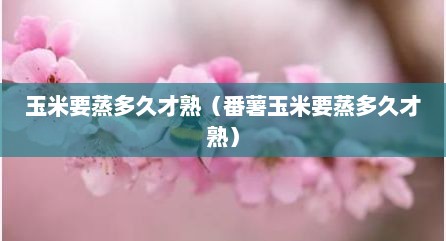 玉米要蒸多久才熟（番薯玉米要蒸多久才熟）