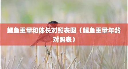 鲤鱼重量和体长对照表图（鲤鱼重量年龄对照表）