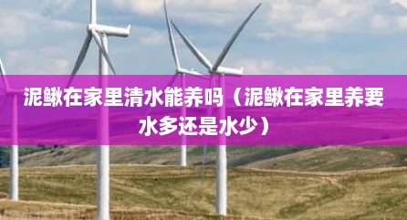 泥鳅在家里清水能养吗（泥鳅在家里养要水多还是水少）