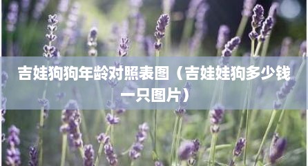 吉娃狗狗年龄对照表图（吉娃娃狗多少钱一只图片）