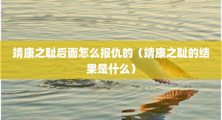 靖康之耻后面怎么报仇的（靖康之耻的结果是什么）