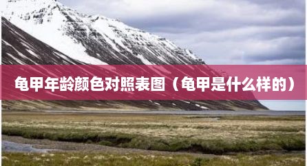 龟甲年龄颜色对照表图（龟甲是什么样的）