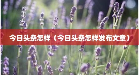 今日头条怎样（今日头条怎样发布文章）