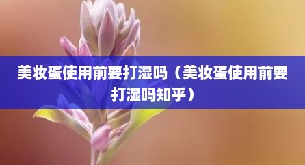 美妆蛋使用前要打湿吗（美妆蛋使用前要打湿吗知乎）