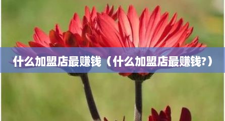 什么加盟店最赚钱（什么加盟店最赚钱?）
