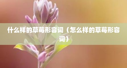 什么样的草莓形容词（怎么样的草莓形容词）