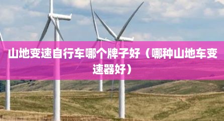 山地变速自行车哪个牌子好（哪种山地车变速器好）
