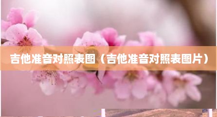 吉他准音对照表图（吉他准音对照表图片）
