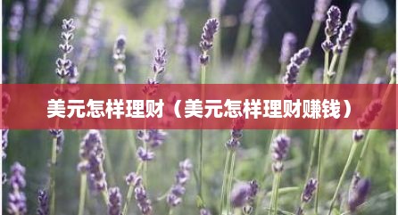 美元怎样理财（美元怎样理财赚钱）