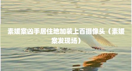 素媛案凶手居住地加装上百摄像头（素媛案发现场）