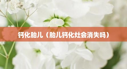 钙化胎儿（胎儿钙化灶会消失吗）