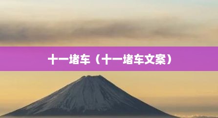 十一堵车（十一堵车文案）