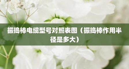 振捣棒电缆型号对照表图（振捣棒作用半径是多大）