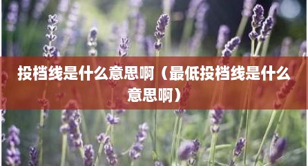 投档线是什么意思啊（最低投档线是什么意思啊）