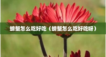 螃蟹怎么吃好吃（螃蟹怎么吃好吃呀）