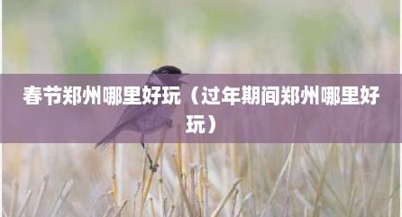春节郑州哪里好玩（过年期间郑州哪里好玩）