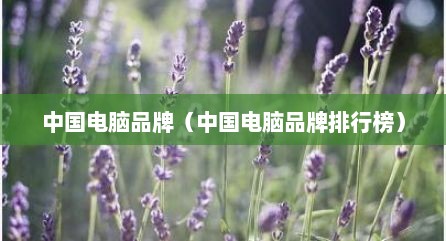 中国电脑品牌（中国电脑品牌排行榜）