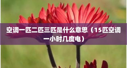 空调一匹二匹三匹是什么意思（15匹空调一小时几度电）