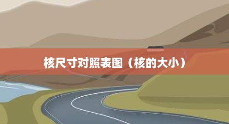核尺寸对照表图（核的大小）