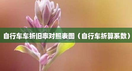 自行车车折旧率对照表图（自行车折算系数）