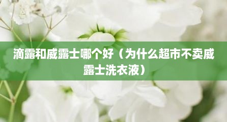 滴露和威露士哪个好（为什么超市不卖威露士洗衣液）