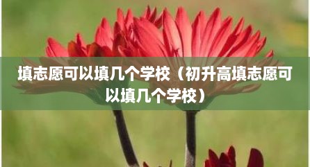填志愿可以填几个学校（初升高填志愿可以填几个学校）