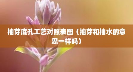 抽芽底孔工艺对照表图（抽芽和抽水的意思一样吗）