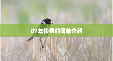 07年快男的简单介绍